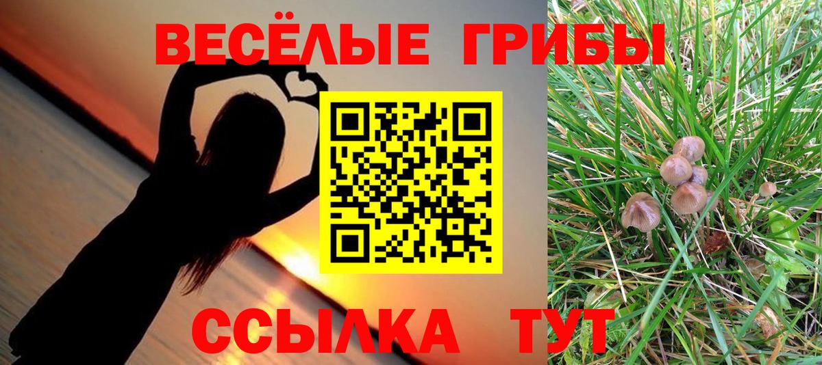 Псилоцибиновые грибы Cubensis  Вход с VPN  Зима  Галлюциногенные грибы ЛСД 
