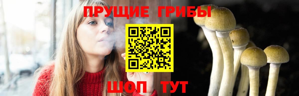 Галлюциногенные грибы GOLDEN TEACHER Зима